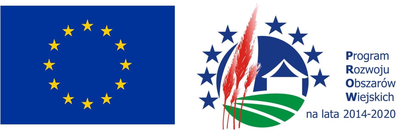 Logo-PROW-Flaga-UE-Karina-1320x437 (1).jpg
